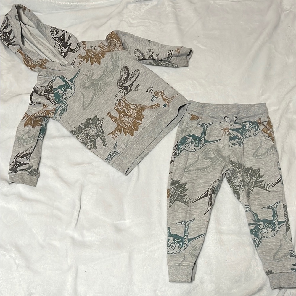Dinosaur Print Hoodie and Jogger Set